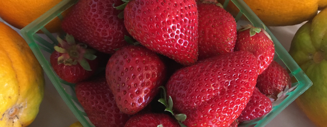 Photo example of Whole Food plant based groceries.