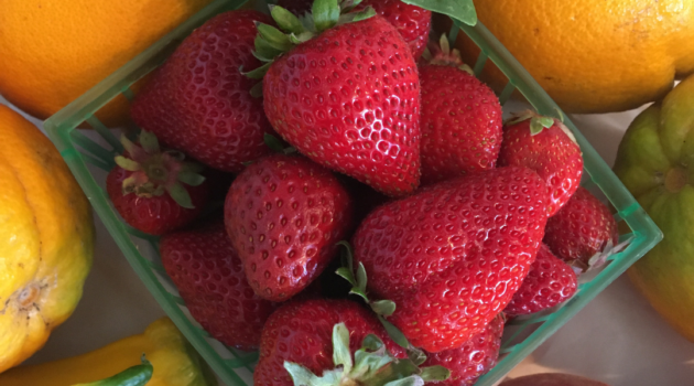 Photo example of Whole Food plant based groceries.