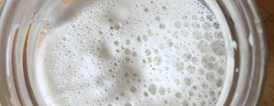 20 plant based alkaline foods