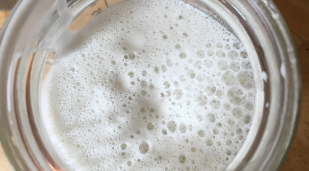 20 plant based alkaline foods