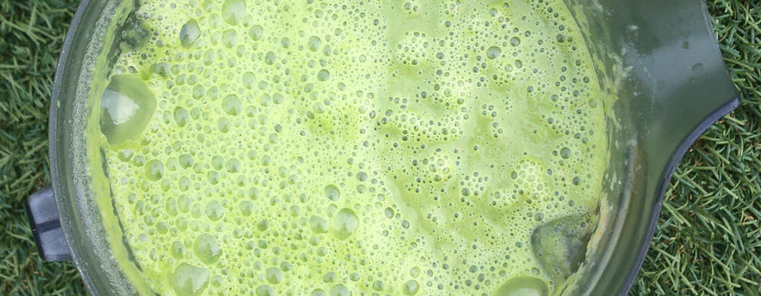 Photo of Daniel Fast smoothie made with spinach, apples, dates, almond butter and citrus.