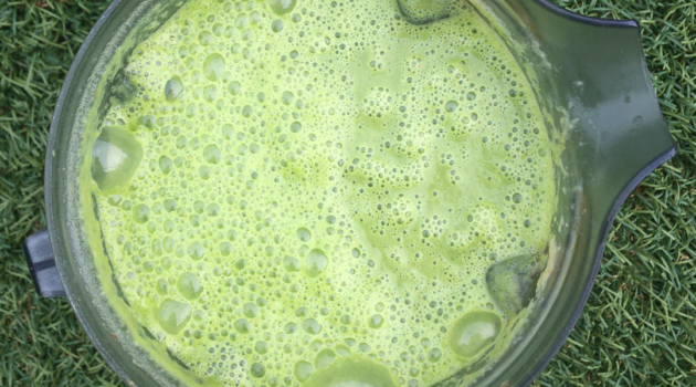 Photo of Daniel Fast smoothie made with spinach, apples, dates, almond butter and citrus.