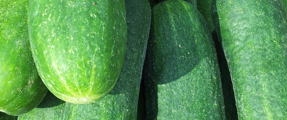 Photo example of 7 cucumber smoothie recipes for weight loss.