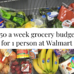 Photo example of 50 a week grocery budget for 1 at Walmart in 2024.