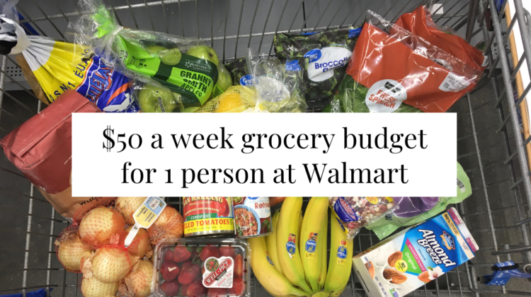 Photo example of 50 a week grocery budget for 1 at Walmart in 2024.