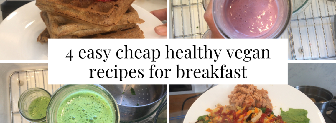 Photo example of 4 easy cheap healthy vegan recipes for breakfast.