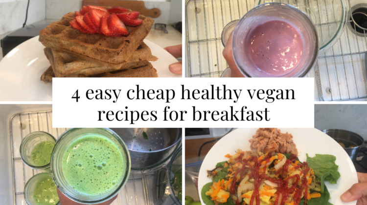 Photo example of 4 easy cheap healthy vegan recipes for breakfast.