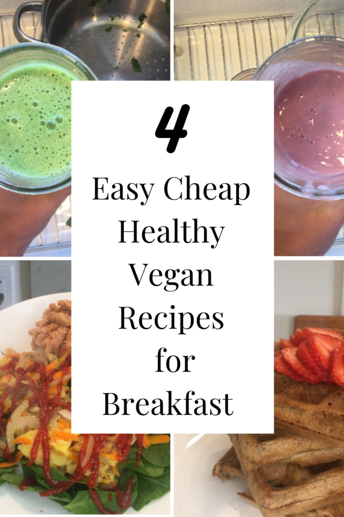 Photo example of 4 easy cheap healthy vegan recipes for breakfast from Walmart groceries.