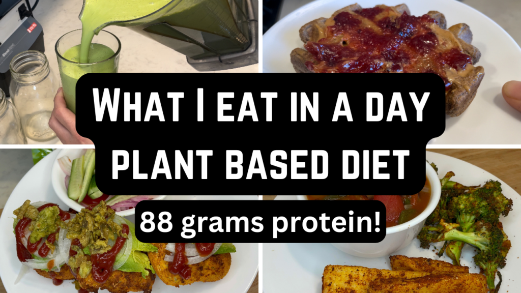 Photo example of What I eat in a day plant based diet high protein.