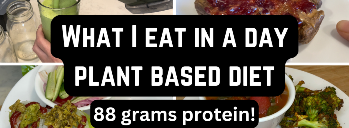 Photo example of What I eat in a day plant based diet high protein.