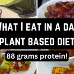 Photo example of What I eat in a day plant based diet high protein.
