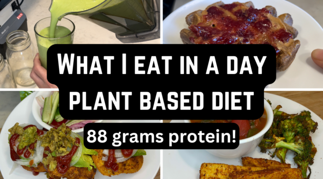 Photo example of What I eat in a day plant based diet high protein.