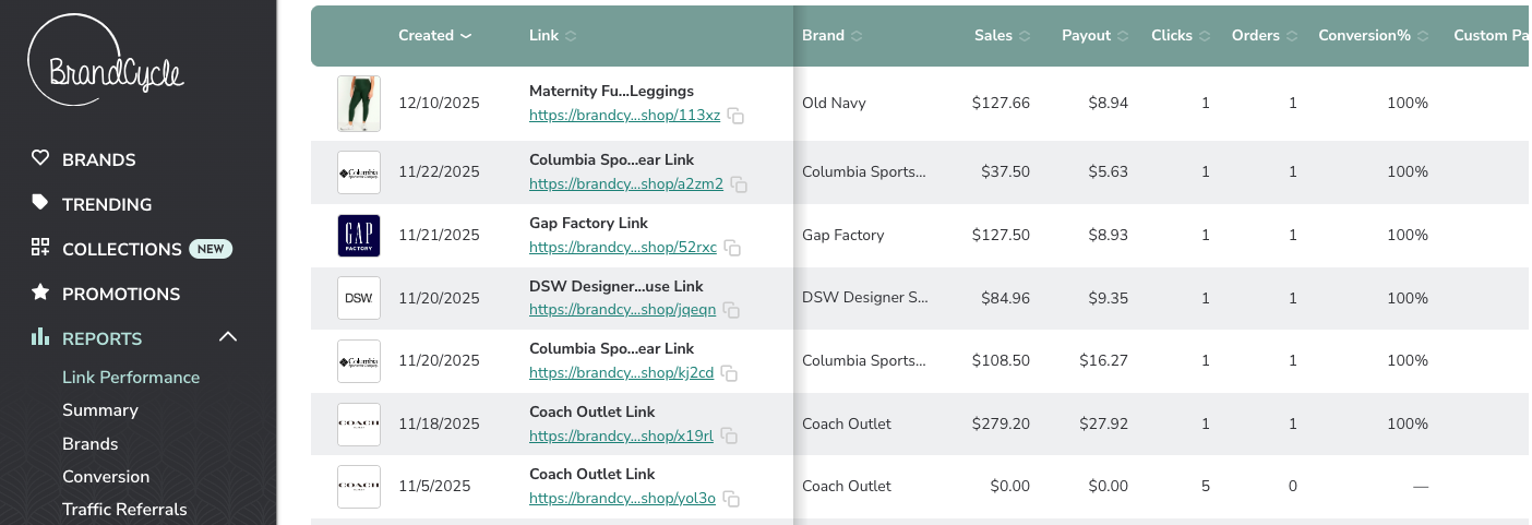 Photo example of my Brandcycle review screenshot earnings report.