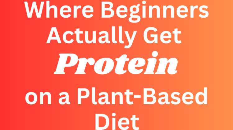 Photo example of Where beginners actually get protein on a plant based diet.