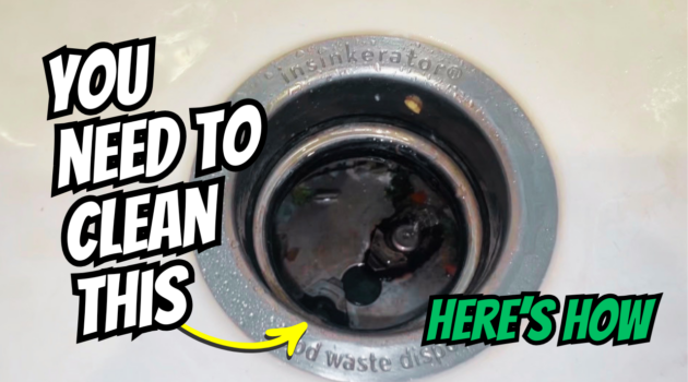 Photo example of How to clean garbage disposal.
