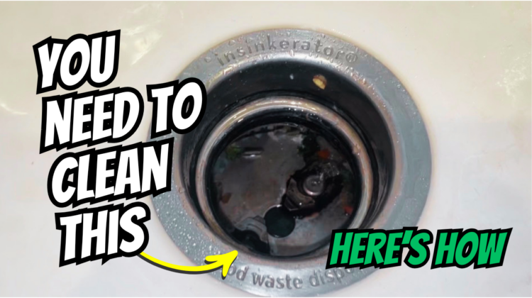 Photo example of How to clean garbage disposal.