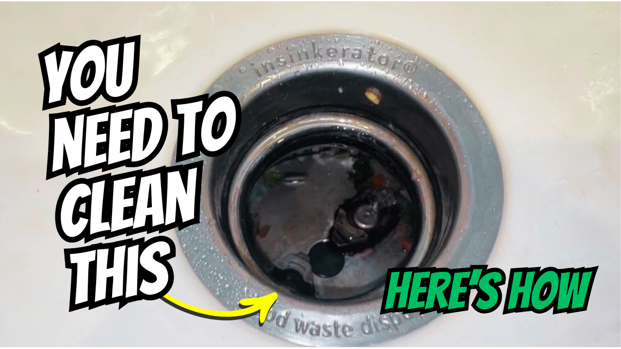 Photo example of How to clean garbage disposal.
