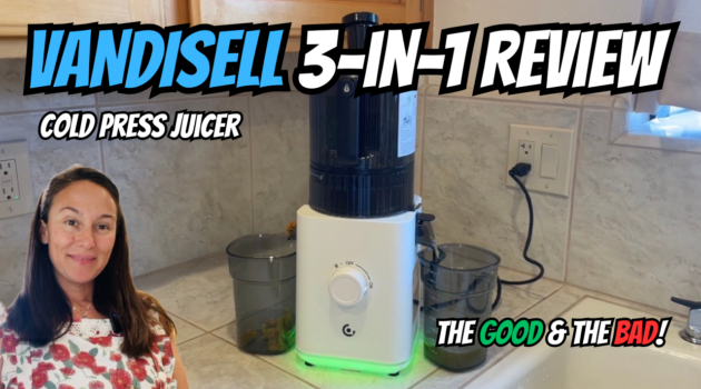 Photo example of Vandisell juicer review ad.