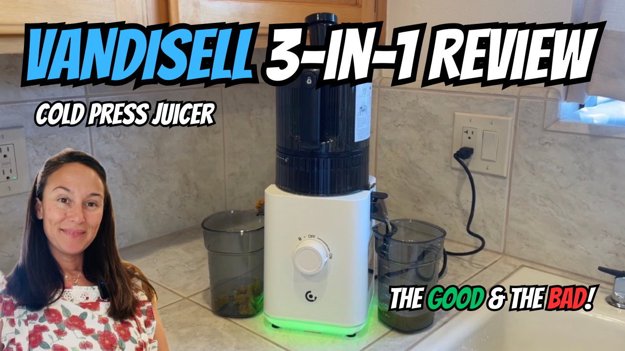 Photo example of Vandisell juicer review ad.