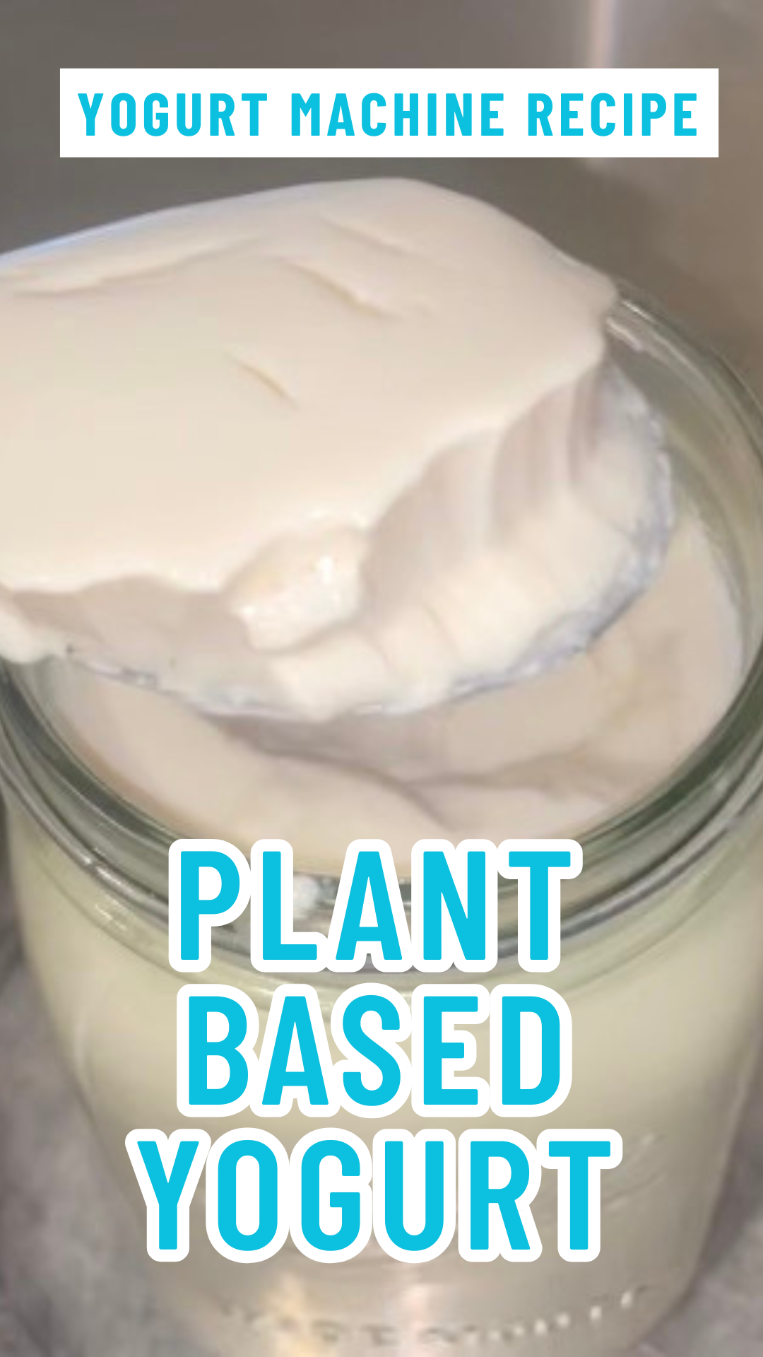 Photo example of Plant Based Yogurt Recipe Soy Milk Instant Pot