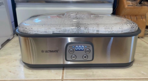 Photo example of Review Ultimate Probiotic Yogurt Maker