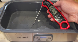 Photo example of Temperature check Making Soy Yogurt With Ultimate Probiotic Yogurt Maker