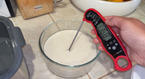 Photo example of Yogurt Temperature check Making Soy Yogurt With Ultimate Probiotic Yogurt Maker
