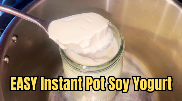 Photo example of how to make soy yogurt in instant pot