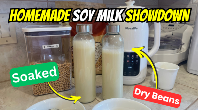 Photo example of Skip Soaking Soybeans For Homemade Soy Milk? I Tested It