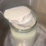 Photo example of plant based yogurt recipe.