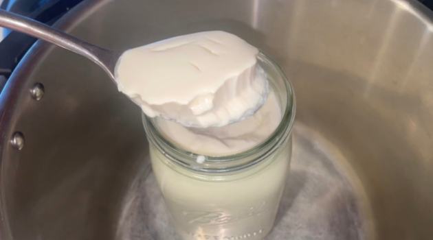 Photo example of plant based yogurt recipe.