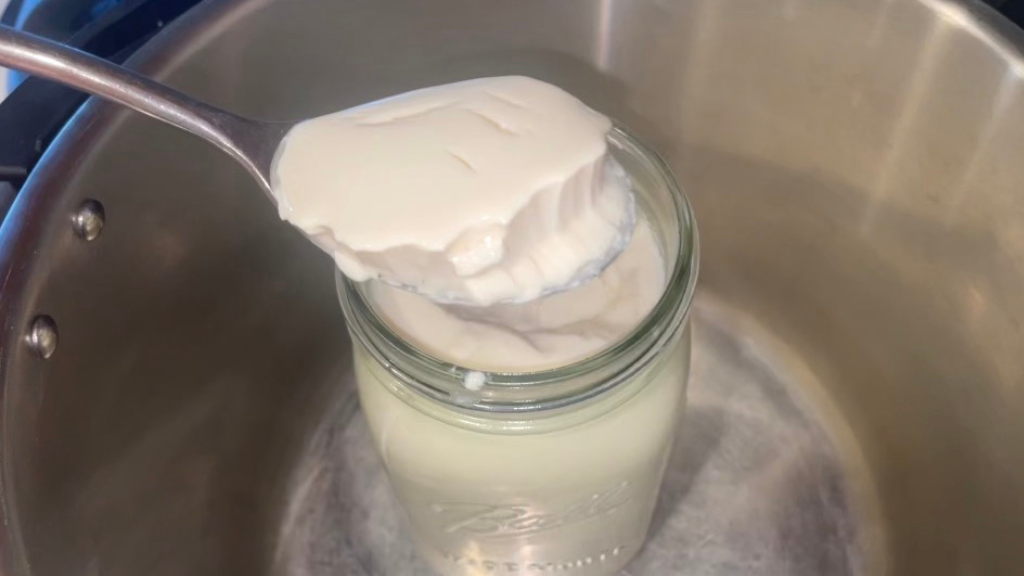 Photo example of plant based yogurt recipe.